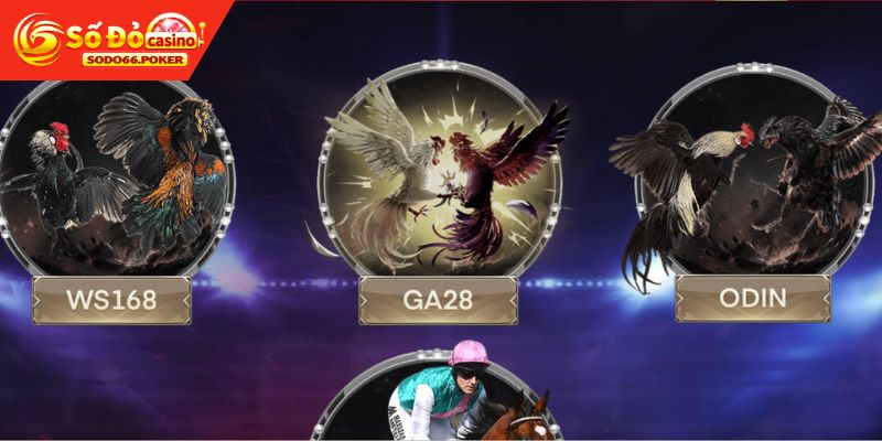 đá gà cựa sắt